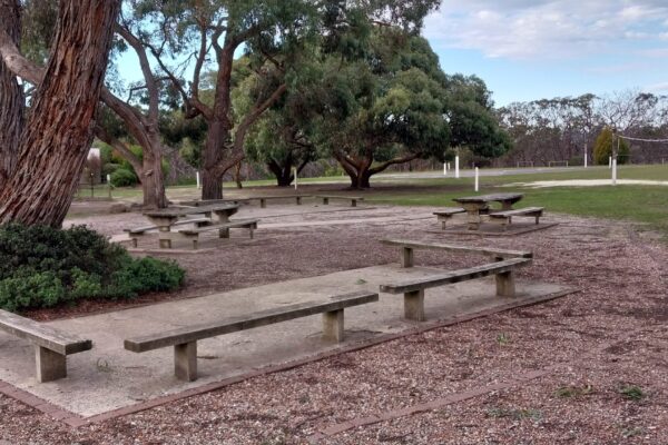 picnic5