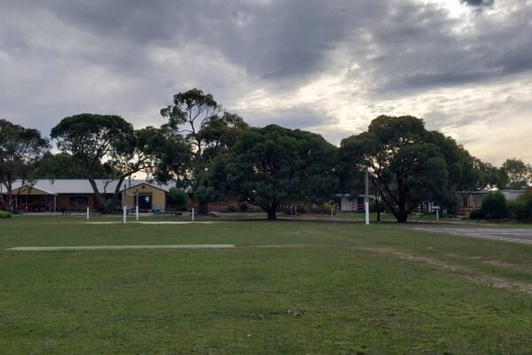 playarea